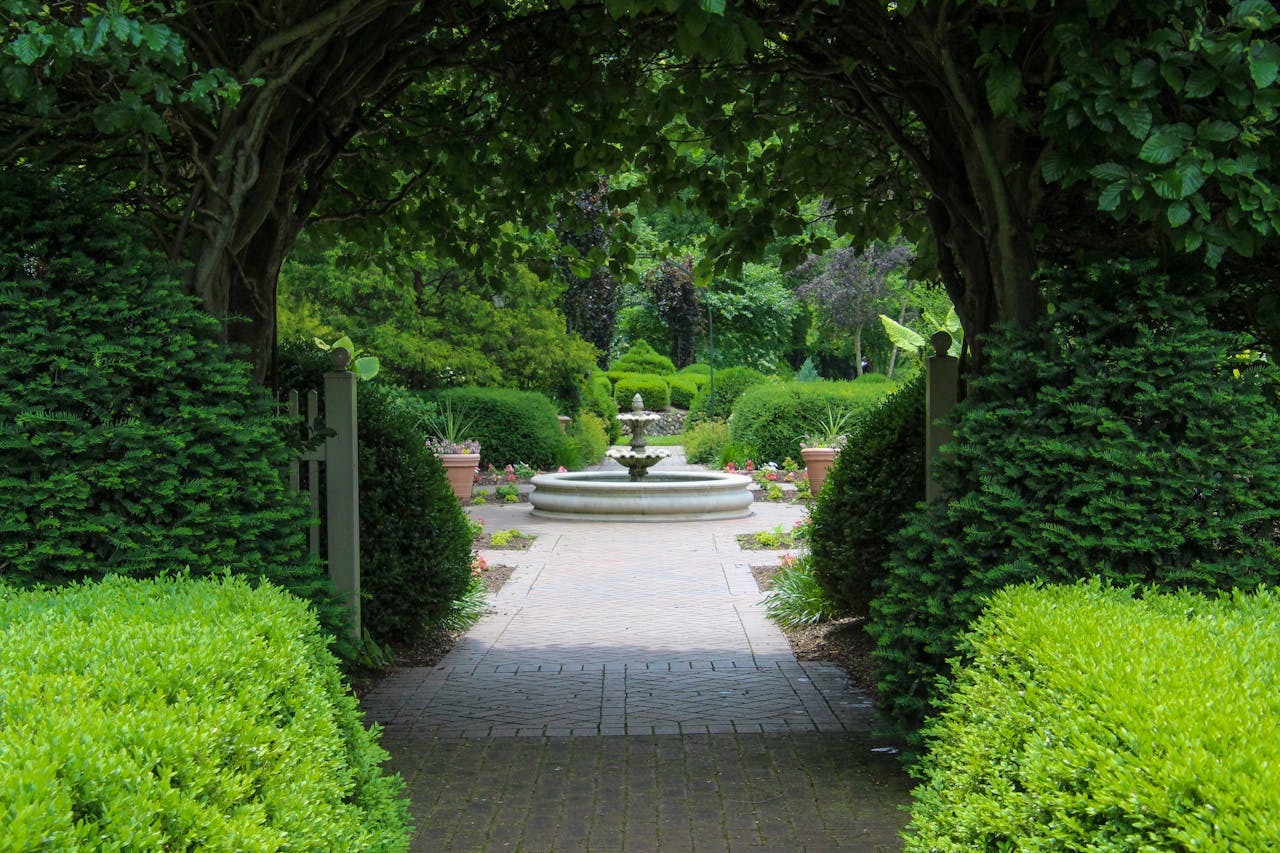 Landscape design professional at work